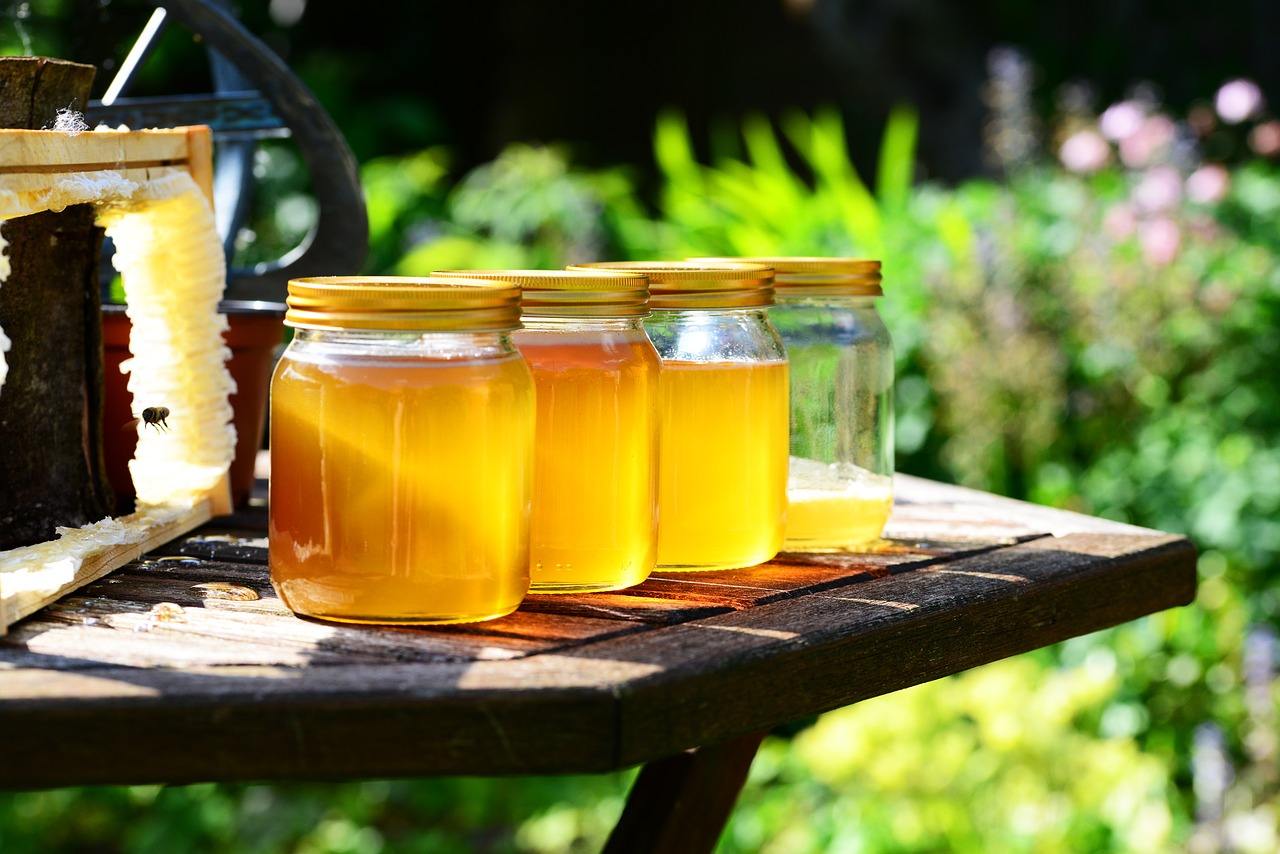 Miele biologico e miele standard a confronto